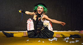 Donna Quixota