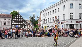Karcocha